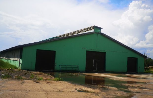 LT0000349, Loan for a cowshed building