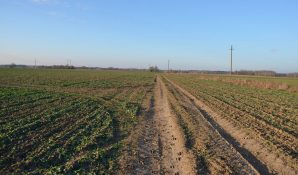 LT0000039, Loan backed with 39,2 ha of arable land